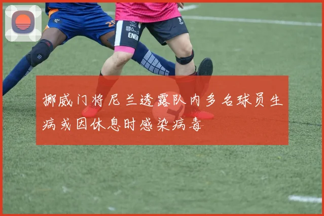 挪威门将尼兰透露队内多名球员生病或因休息时感染病毒