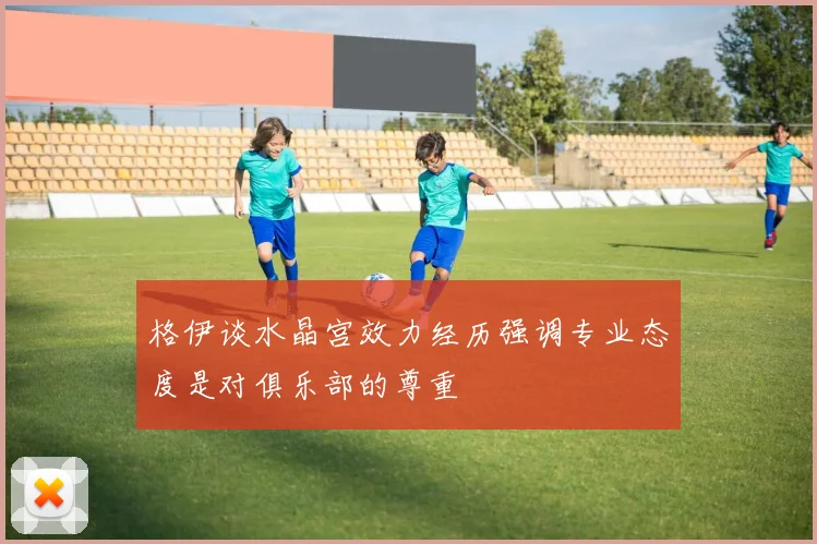 格伊谈水晶宫效力经历强调专业态度是对俱乐部的尊重